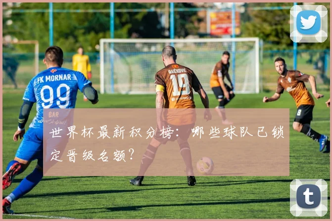 世界杯最新积分榜：哪些球队已锁定晋级名额？